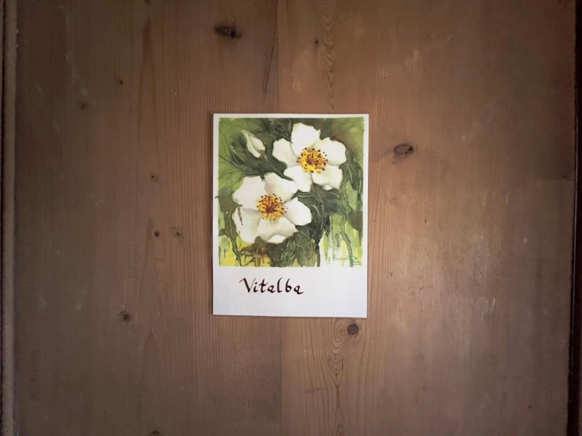 B&B Il Posto Delle Rose Almenno San Salvatore Luaran gambar